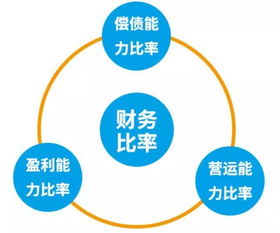 財(cái)務(wù)比率分析入門課 一 丨如何評(píng)判上市公司的盈利能力